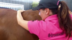 Grooming the yearlings