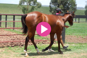 Weaning